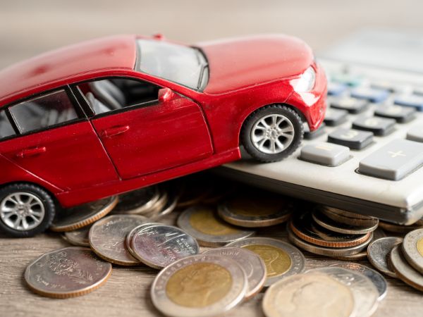 Visual of Car rental budget